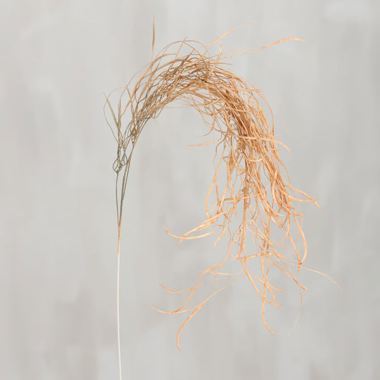 Seaweed Floral Pick
