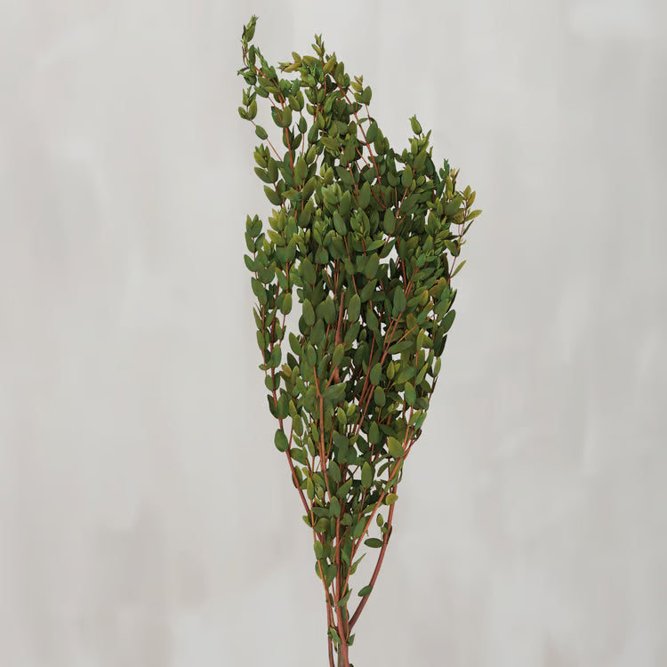 Small Leaf Eucalyptus Bouquet