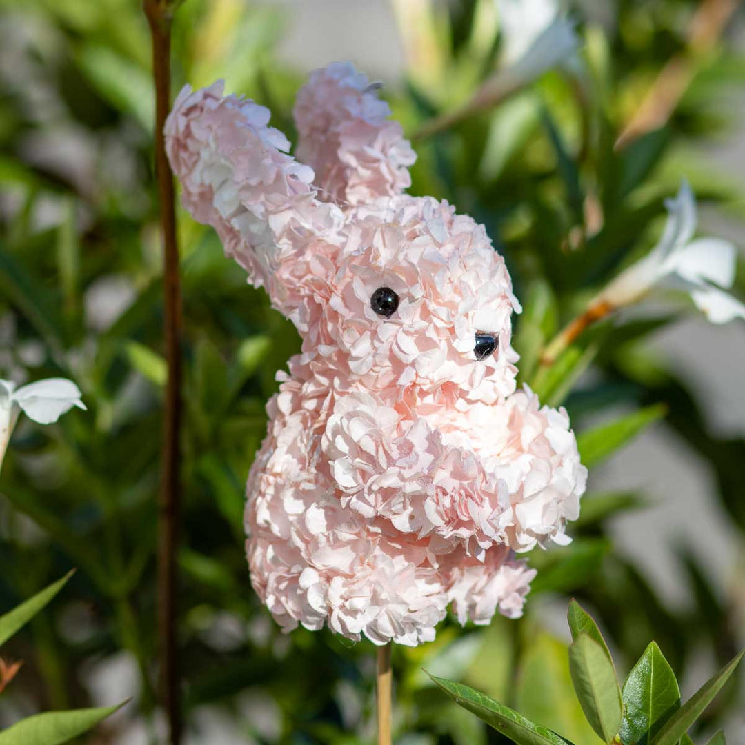 TRS Hydrangea Pink Bunny Pick